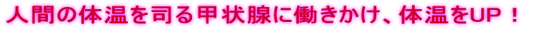 人間の体温を司る甲状腺に働きかけ、体温をUP!