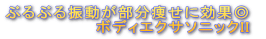 スリミング for Lady ボディエクサソニックII