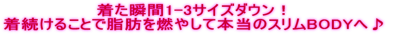 着た瞬間1-3サイズダウン！ 着続けることで脂肪を燃やして本当のスリムBODYへ♪